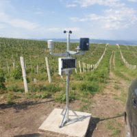 ACA24 AZIONE 2  PAC 2023-2027 STAZIONE METEO  CON DSS GREEN PLANET TUTTO INCLUSO FINO AL 2027 - immagine 16