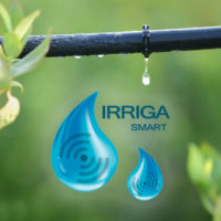 ACA24  AZIONE 3 PAC 2023-2027  DSS IRRIGA-SMART Soluzione digitale in abbonamento annuale
